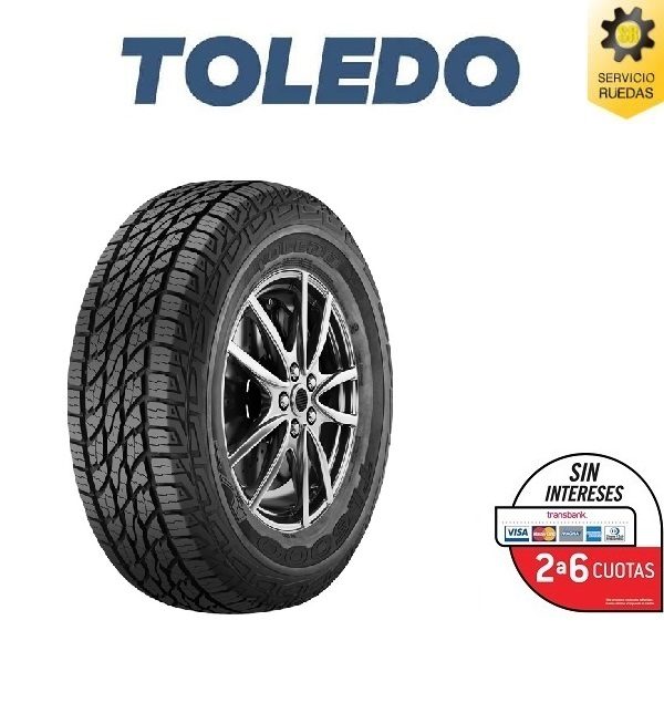 Toledo TL6000_I